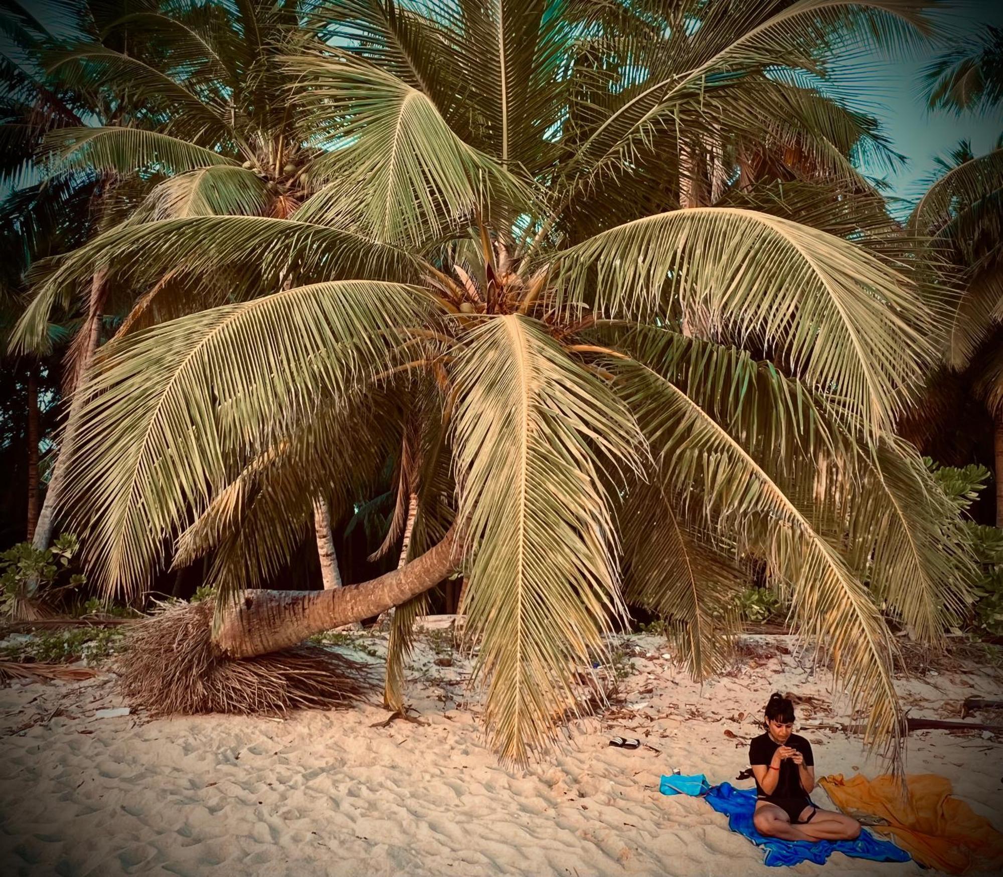 Blue Sea Restaurant & Bungalows Sitapur المظهر الخارجي الصورة