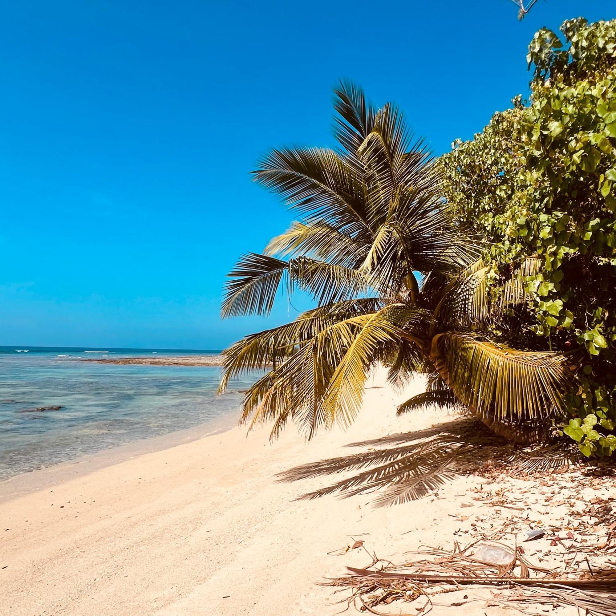Blue Sea Restaurant & Bungalows Sitapur المظهر الخارجي الصورة